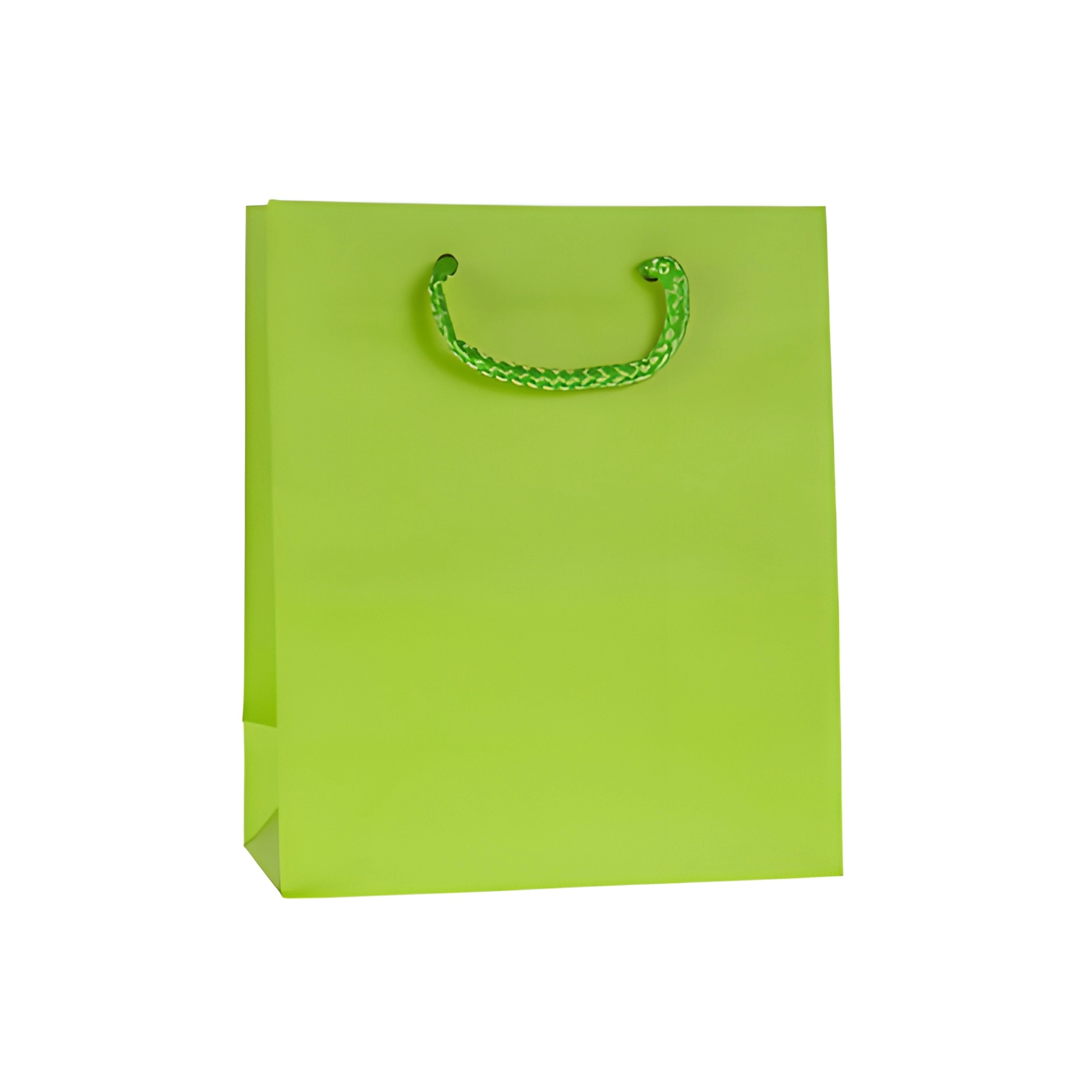Geschenktüte hellgrün, mittel