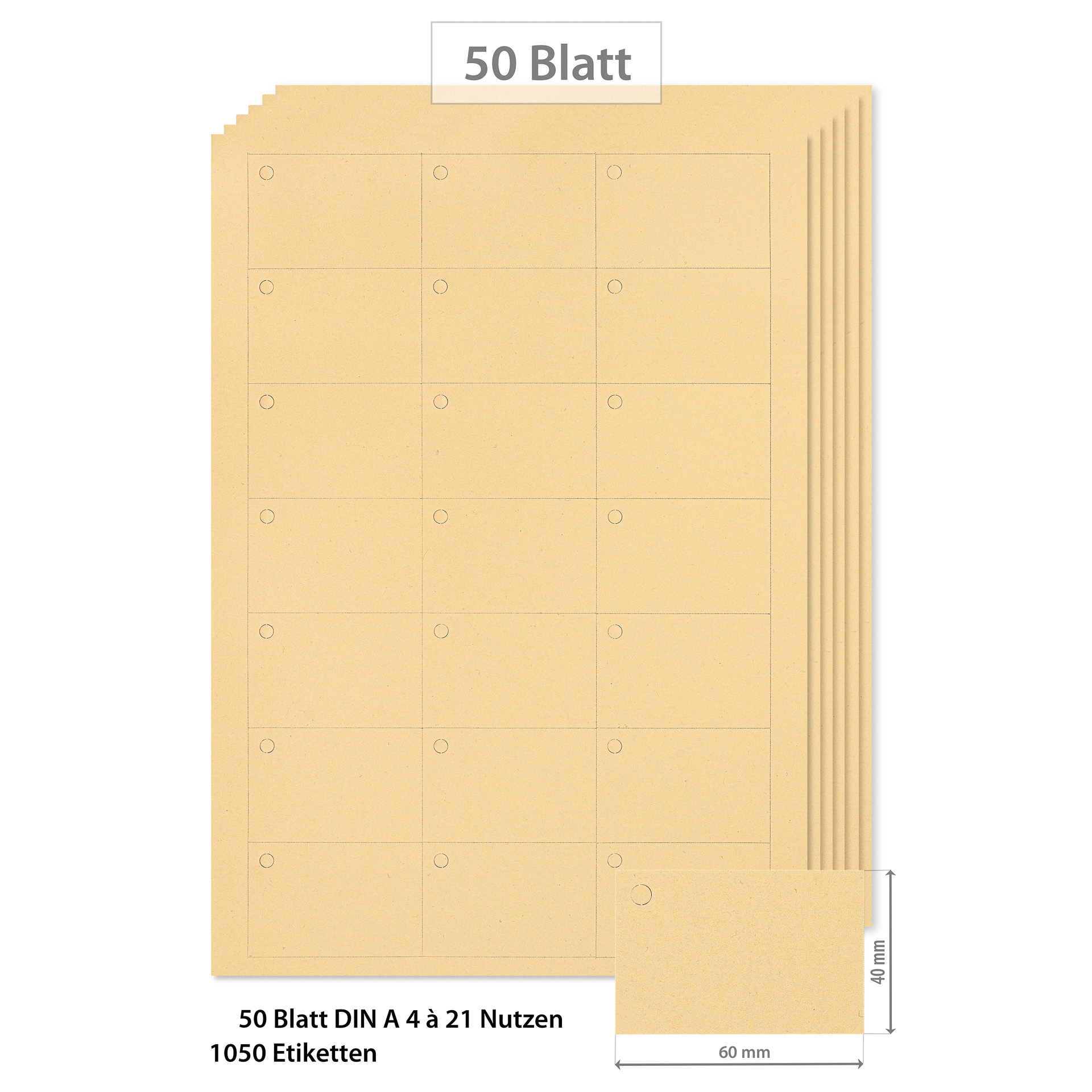 Anhängeetiketten 60x40 mm chamois - 50 Blatt A4