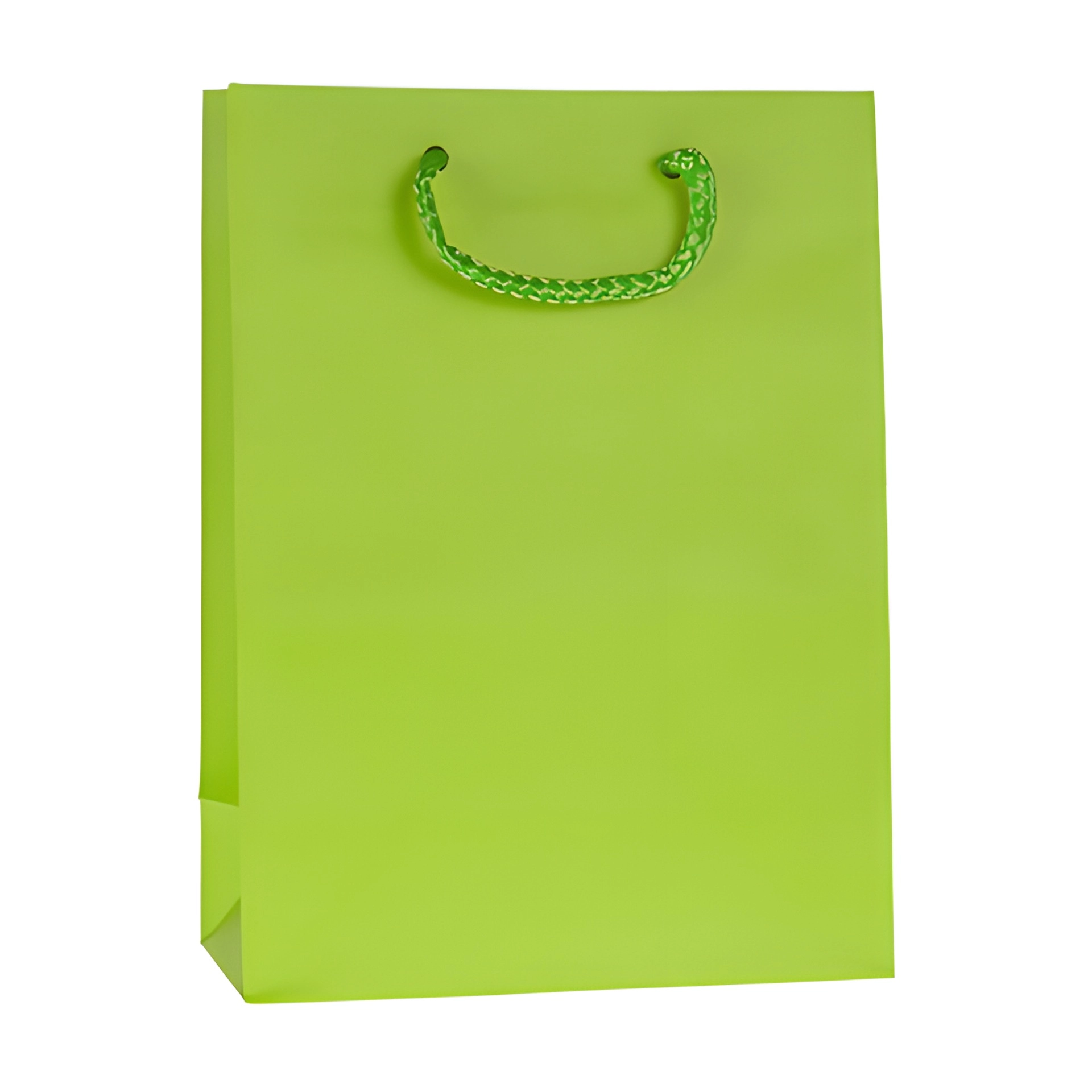 Geschenktüte hellgrün, groß