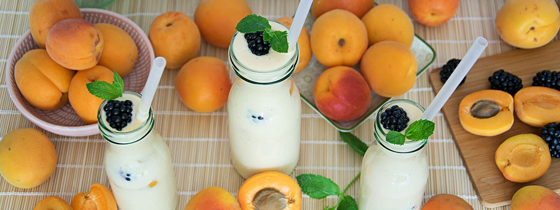 Rezepte von Steffis Team