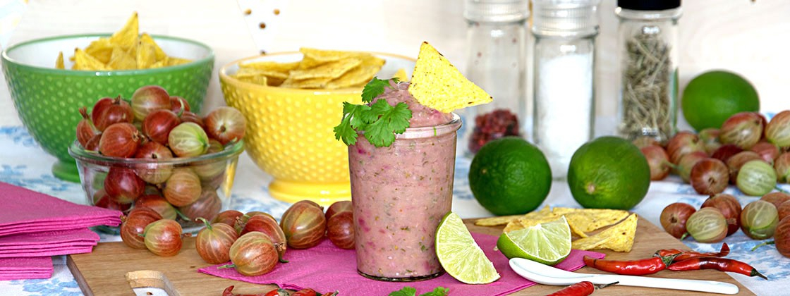 Stachelbeerensalsa