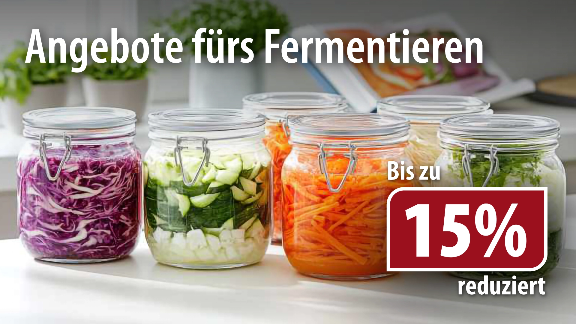 Fermentiergläser und Zubehör