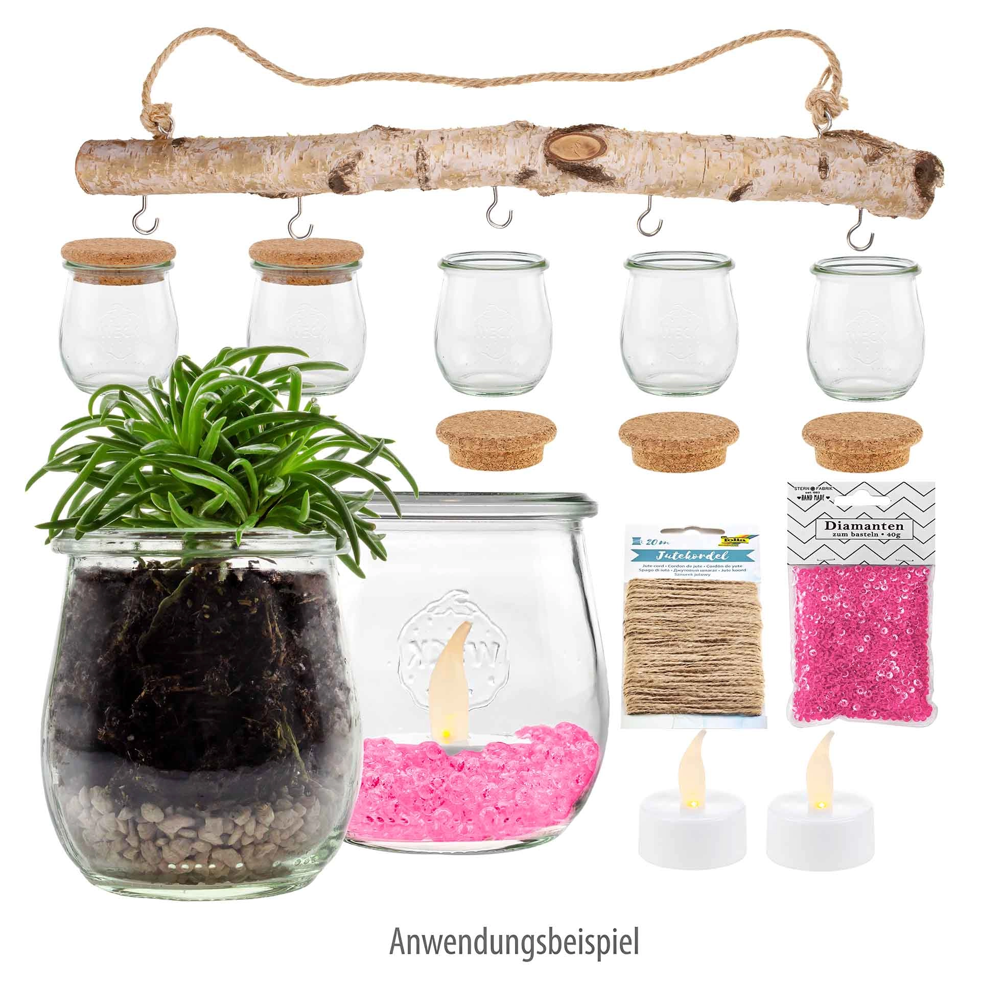 Gläser Set 'Hängender Garten' im WECK-Mini-Tulpenglas