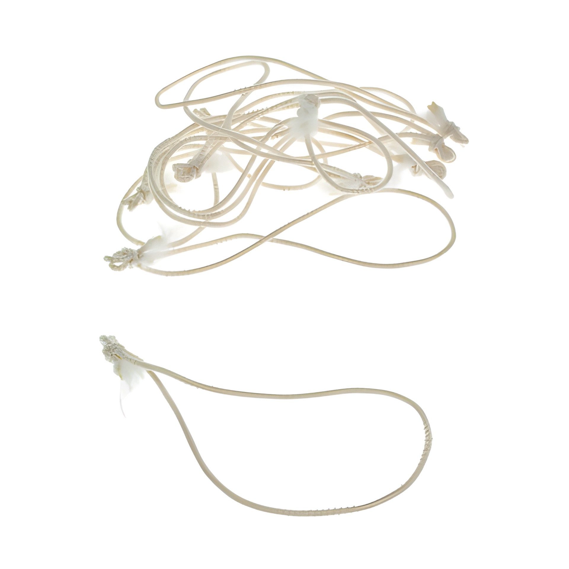 Textilschlaufen creme -  50er Pack