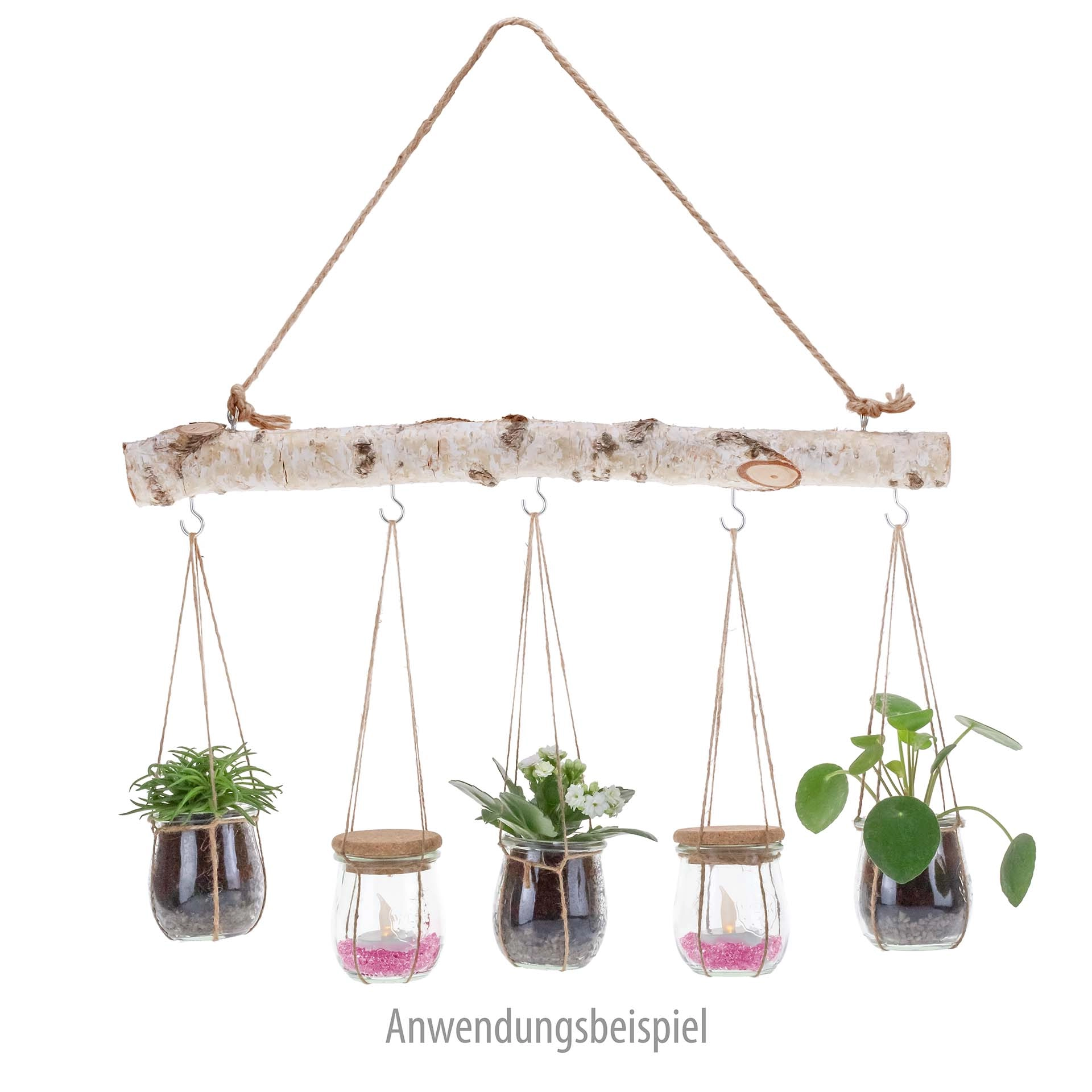 Gläser Set 'Hängender Garten' im WECK-Mini-Tulpenglas