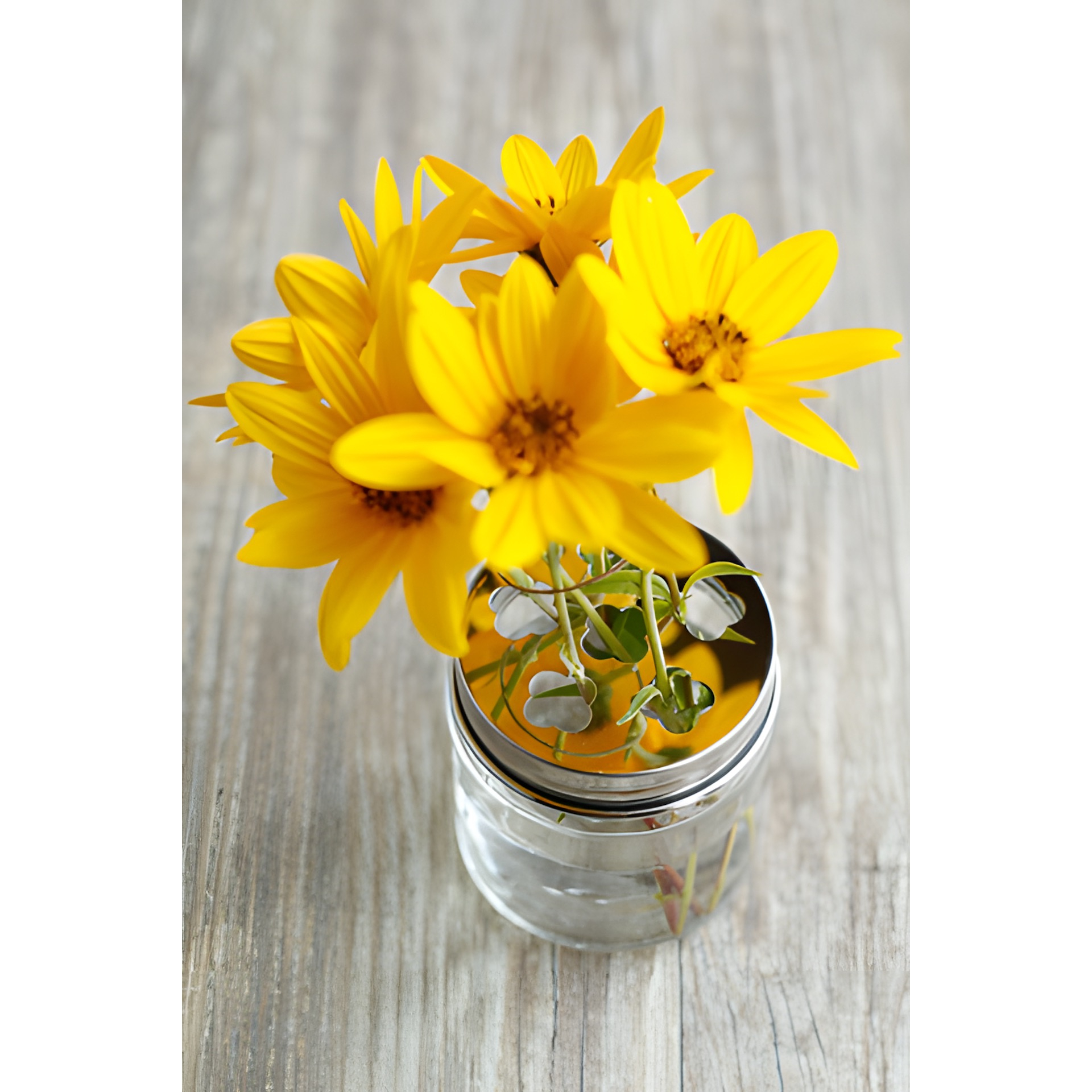 HappyTappi CT 70 Blumenhalter