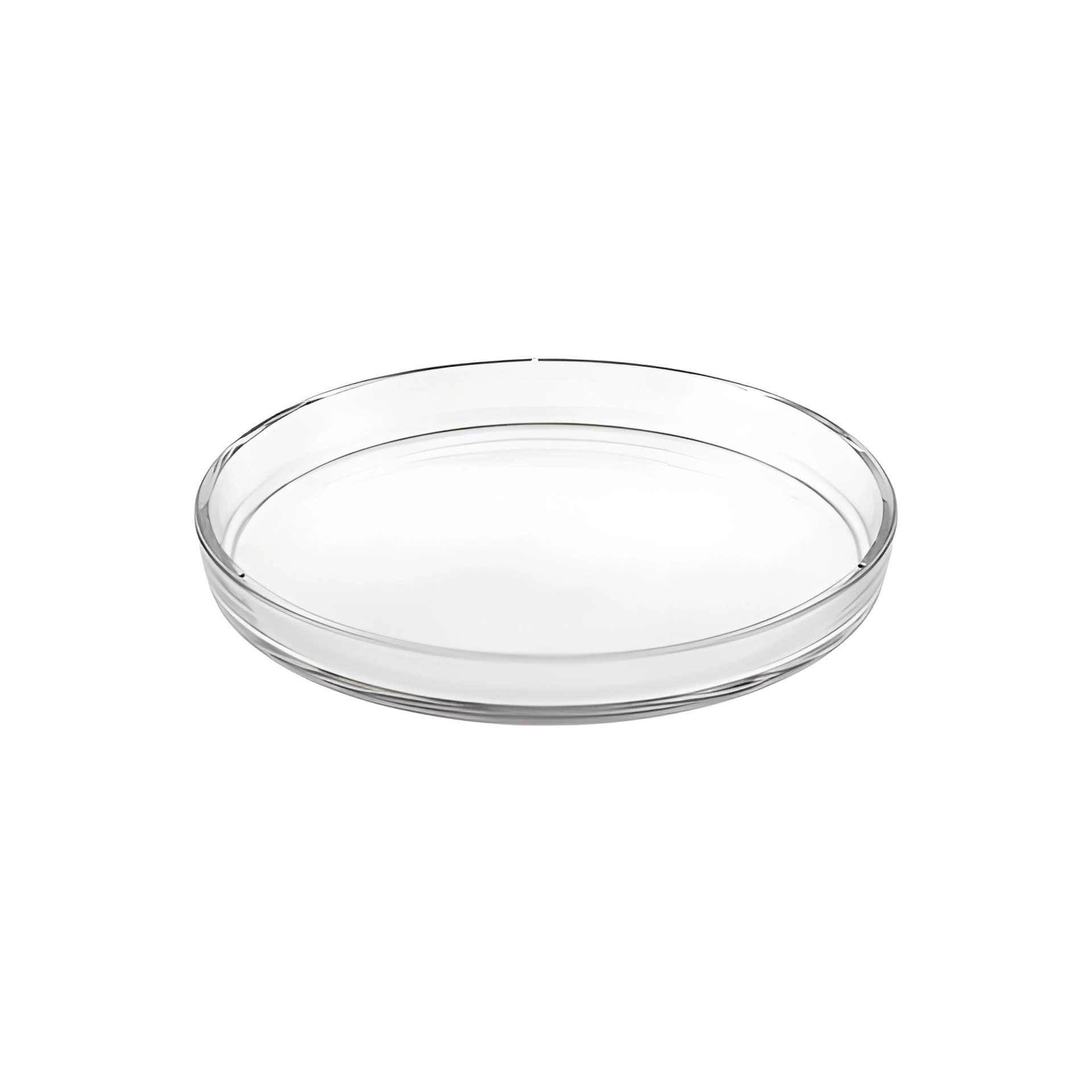 Glasteller Ø 22 cm