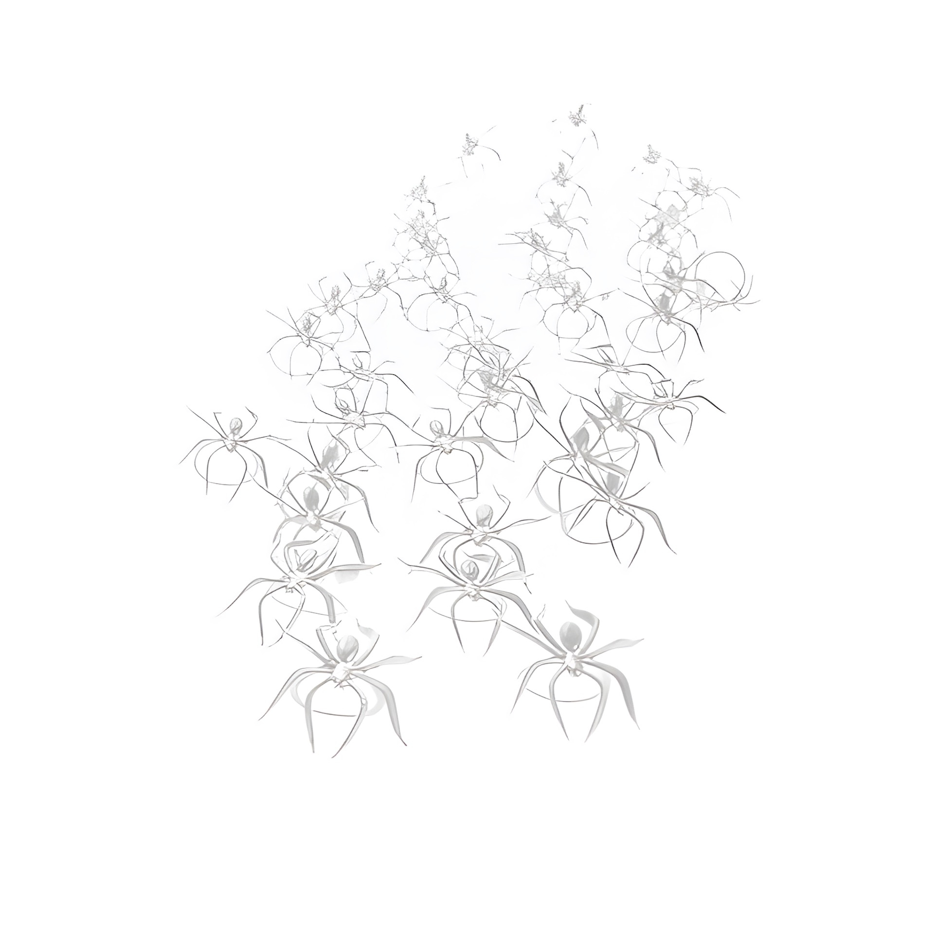 Deko-Spinnen 3,5 cm, transparent, 40 Stück