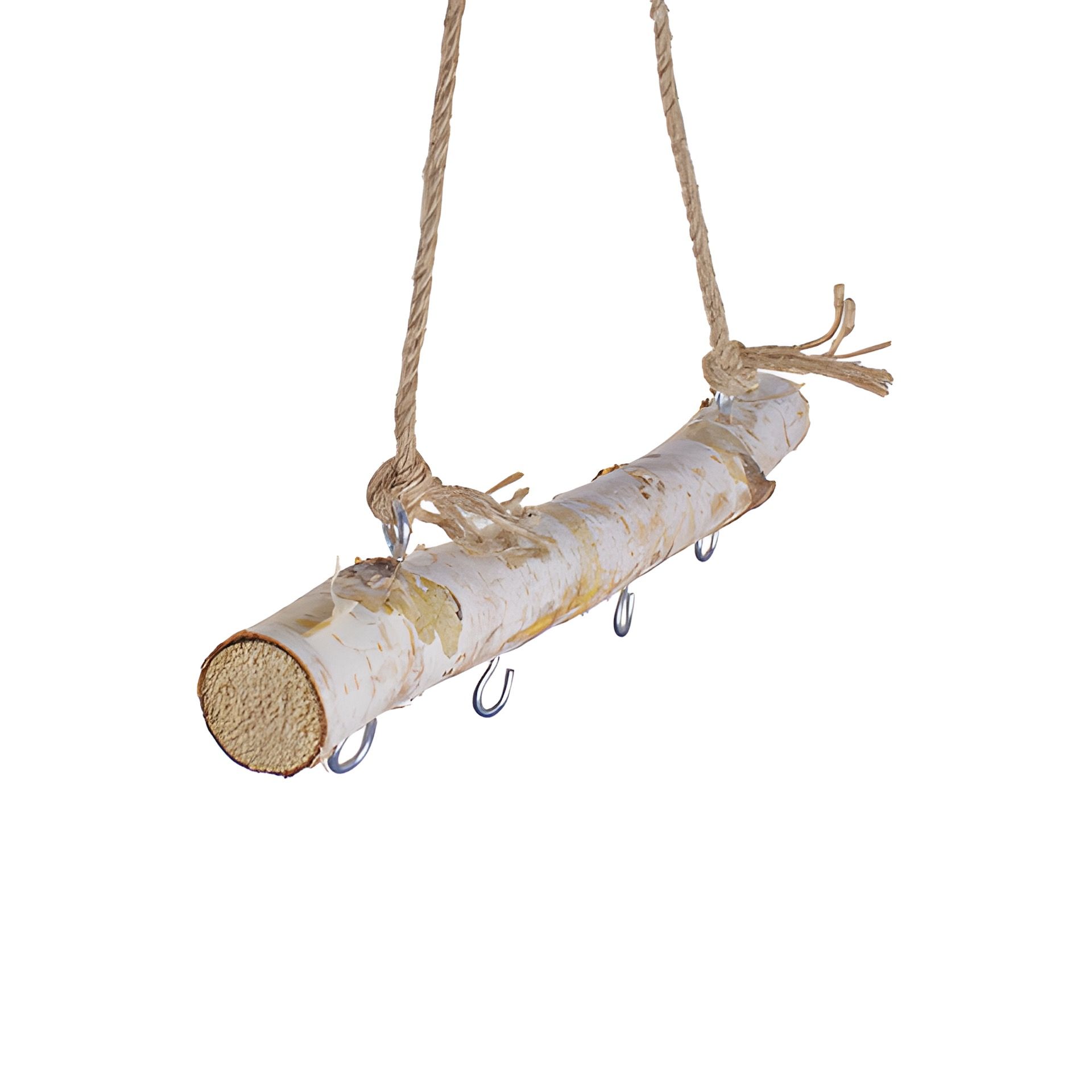 Birkenast 30 cm mit Kordelhenkel und 4 Haken