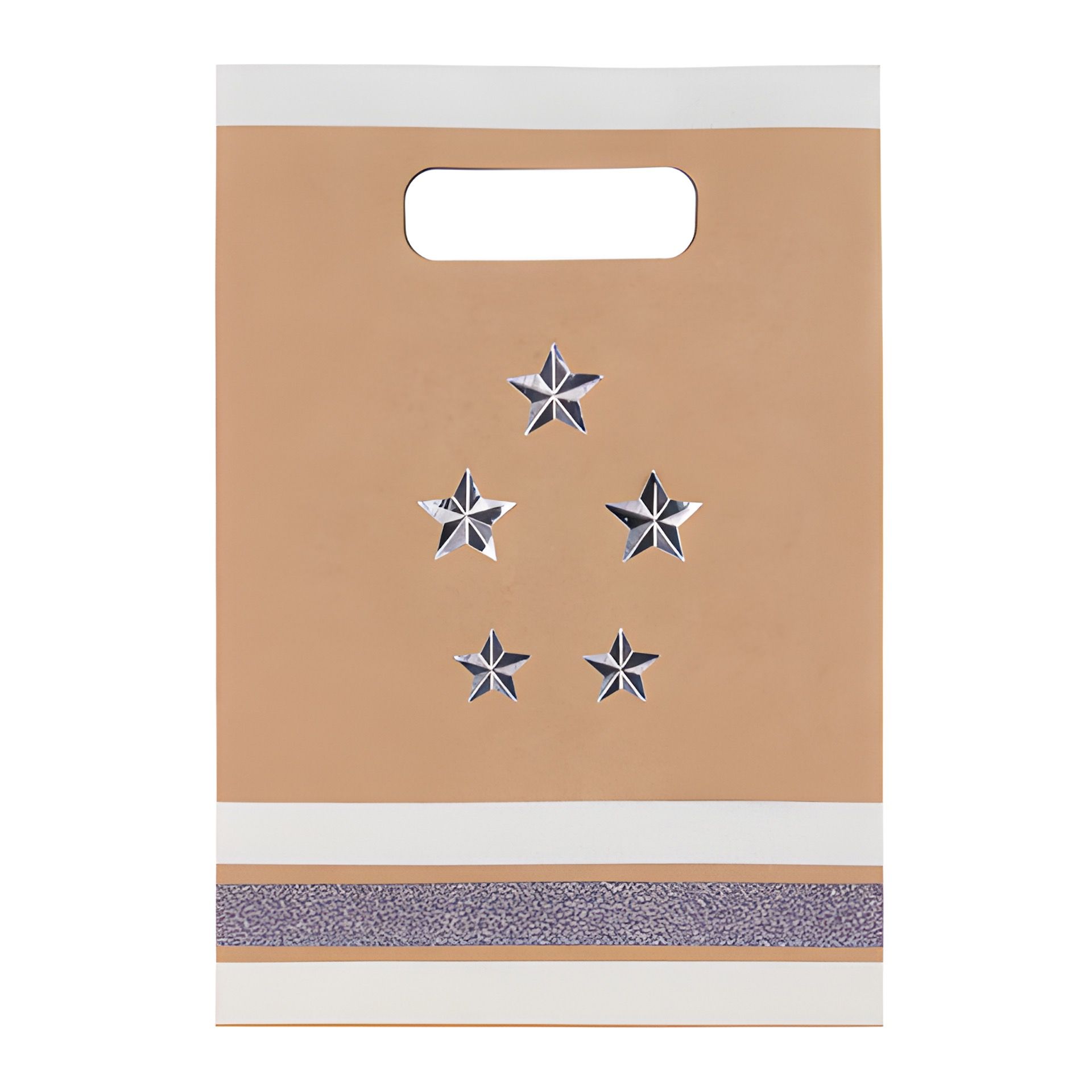 Geschenktüte natur, groß (Karton, 200 Stück)