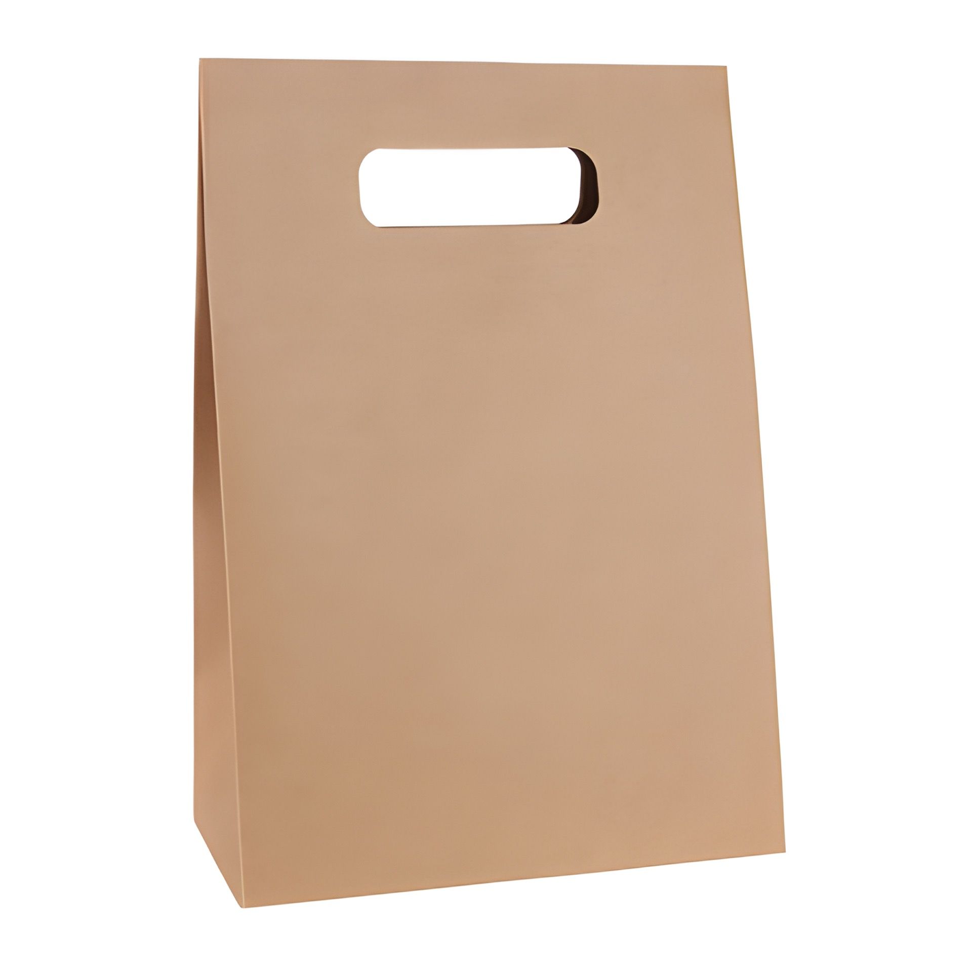 Geschenktüte natur, groß (Karton, 200 Stück)