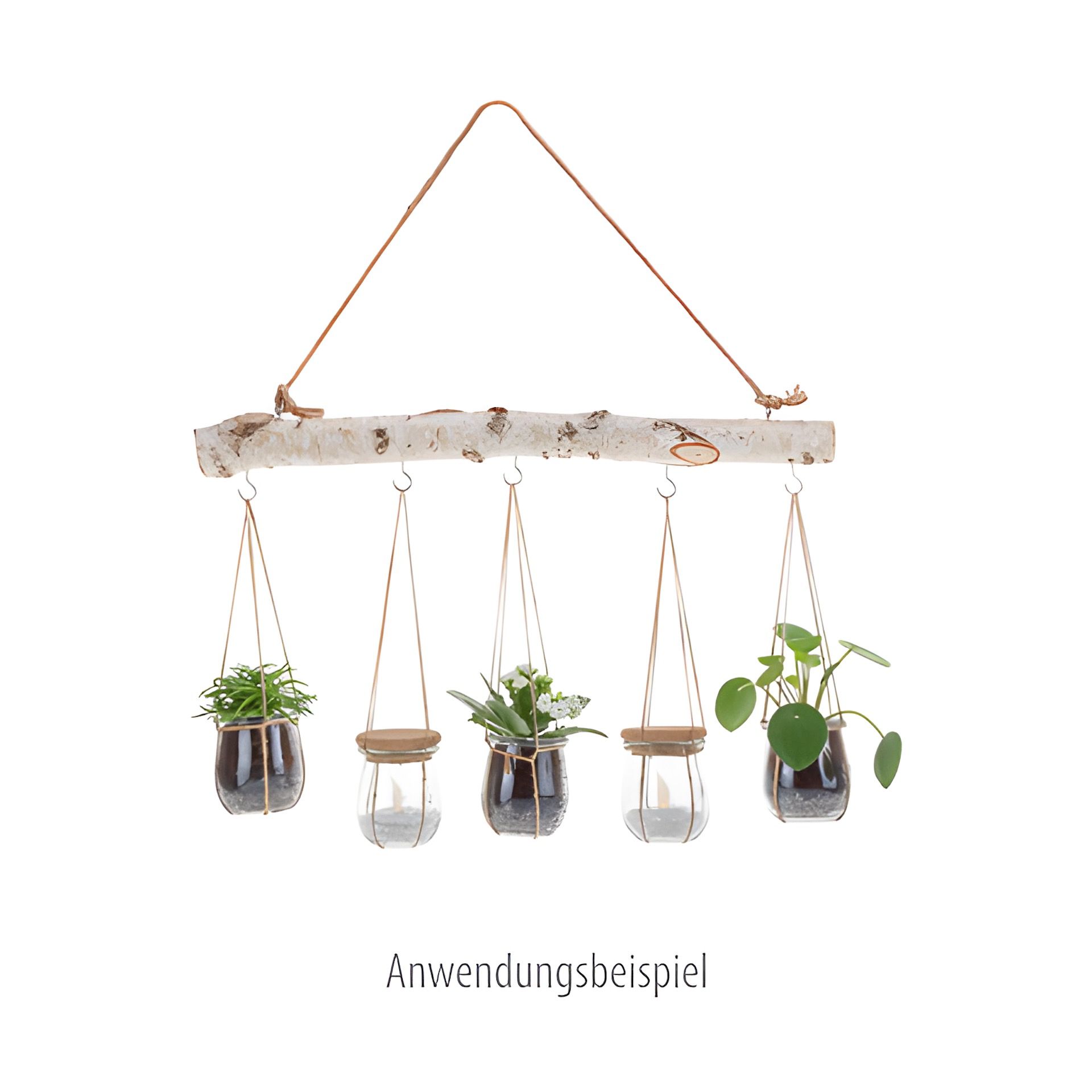 Birkenast 50 cm mit Kordelhenkel und 5 Haken