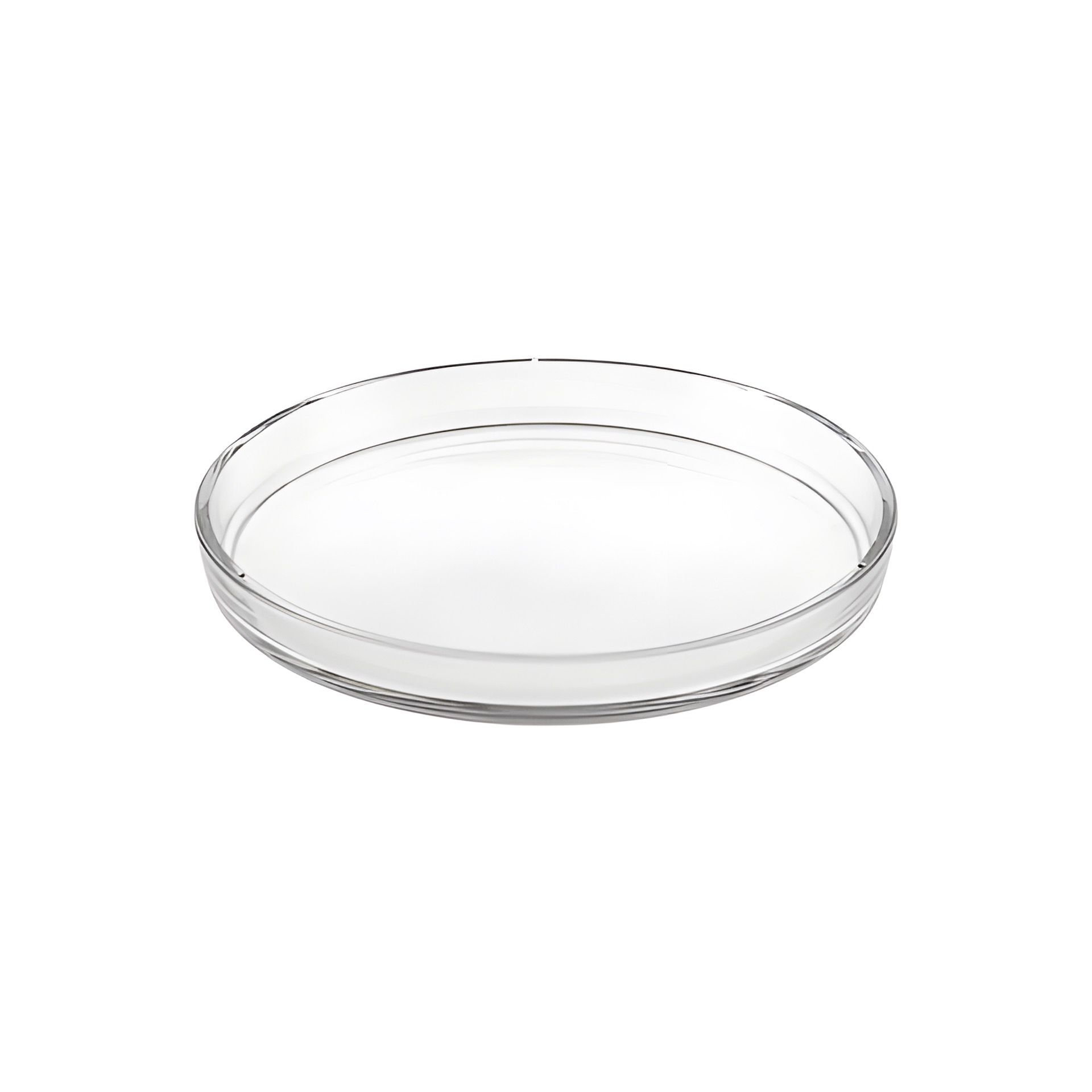 Glasteller Ø 22 cm