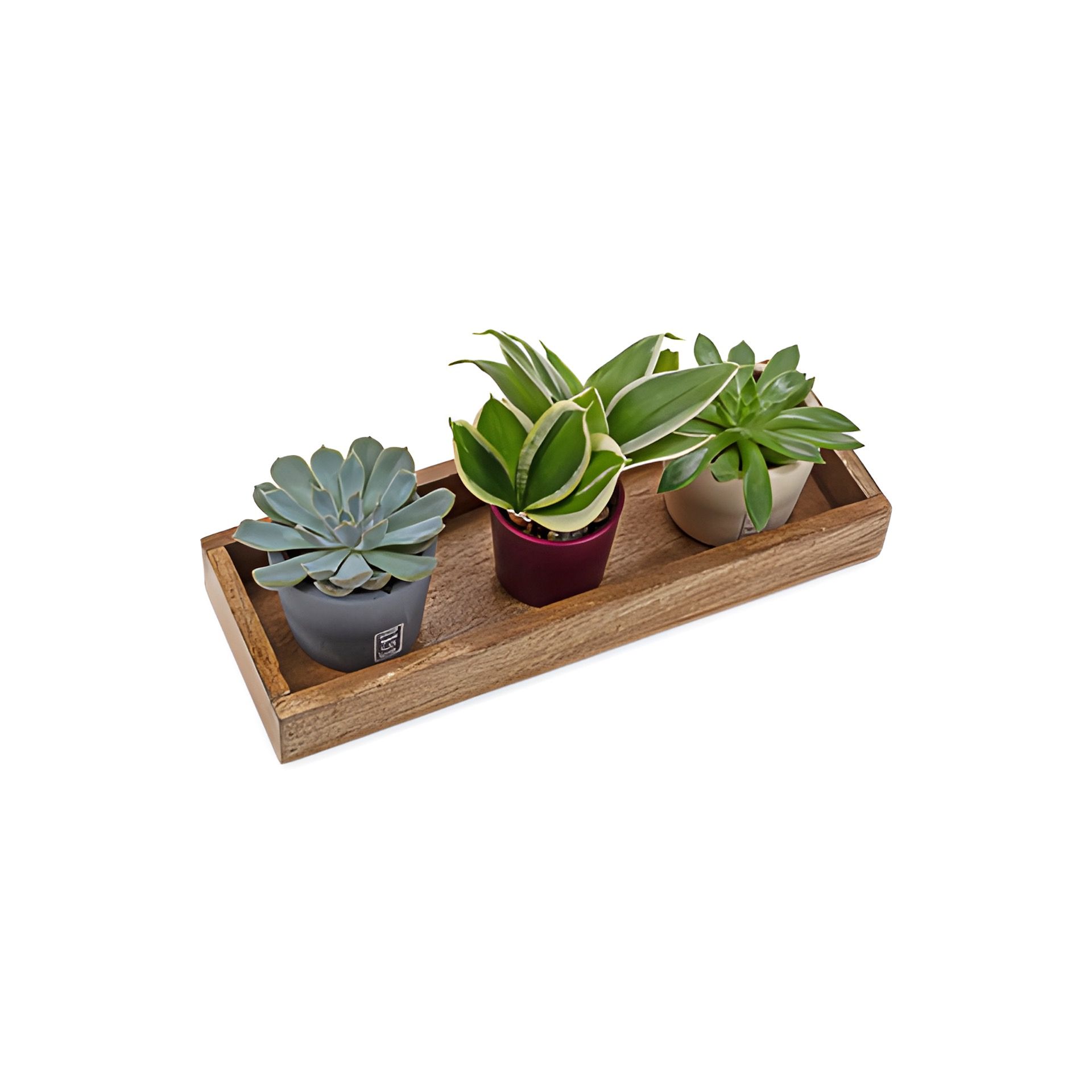 Mangoholz-Kiste, 34 x 12 cm (Karton, 24 Stück)