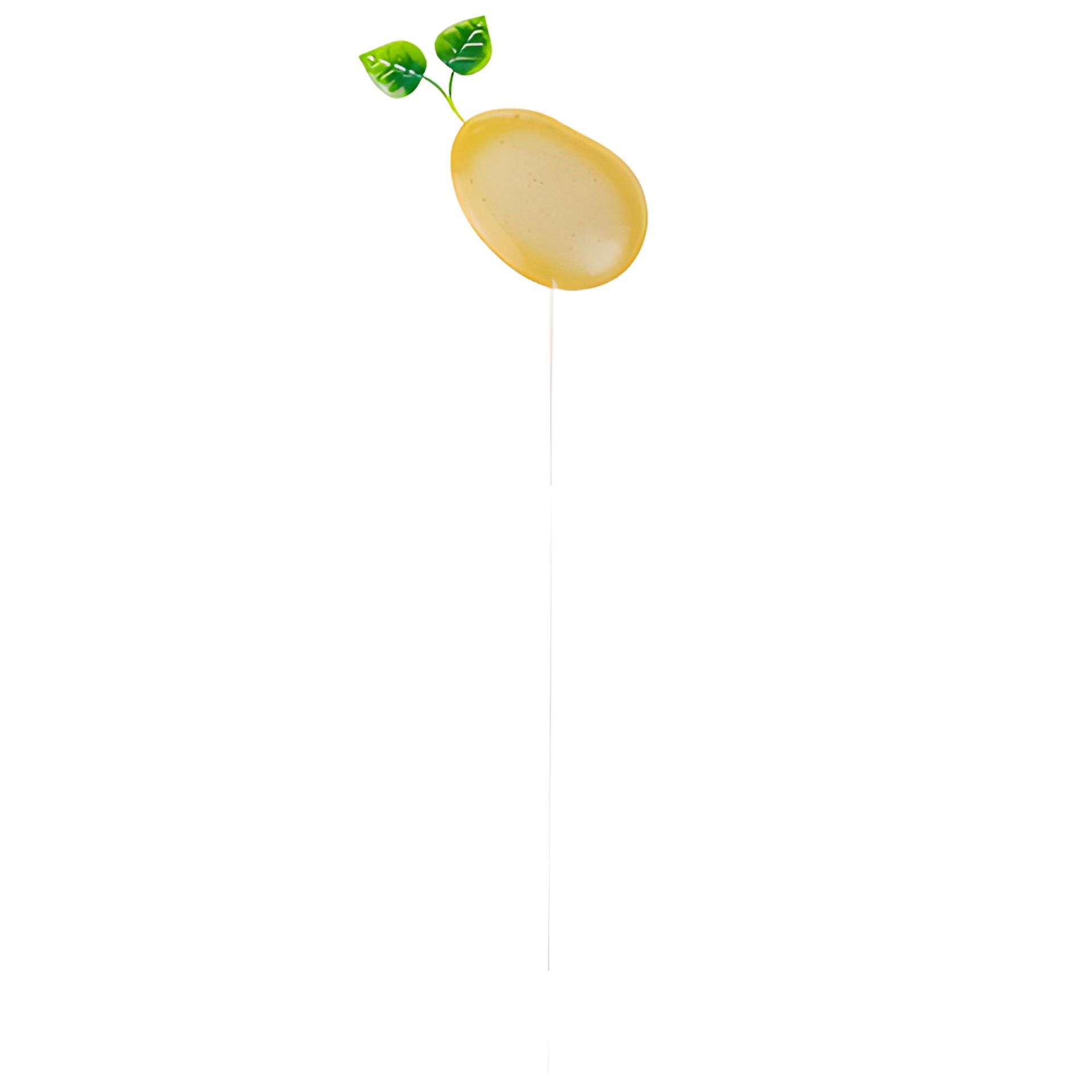 Pflanzenstecker 'Kartoffel', 56 cm