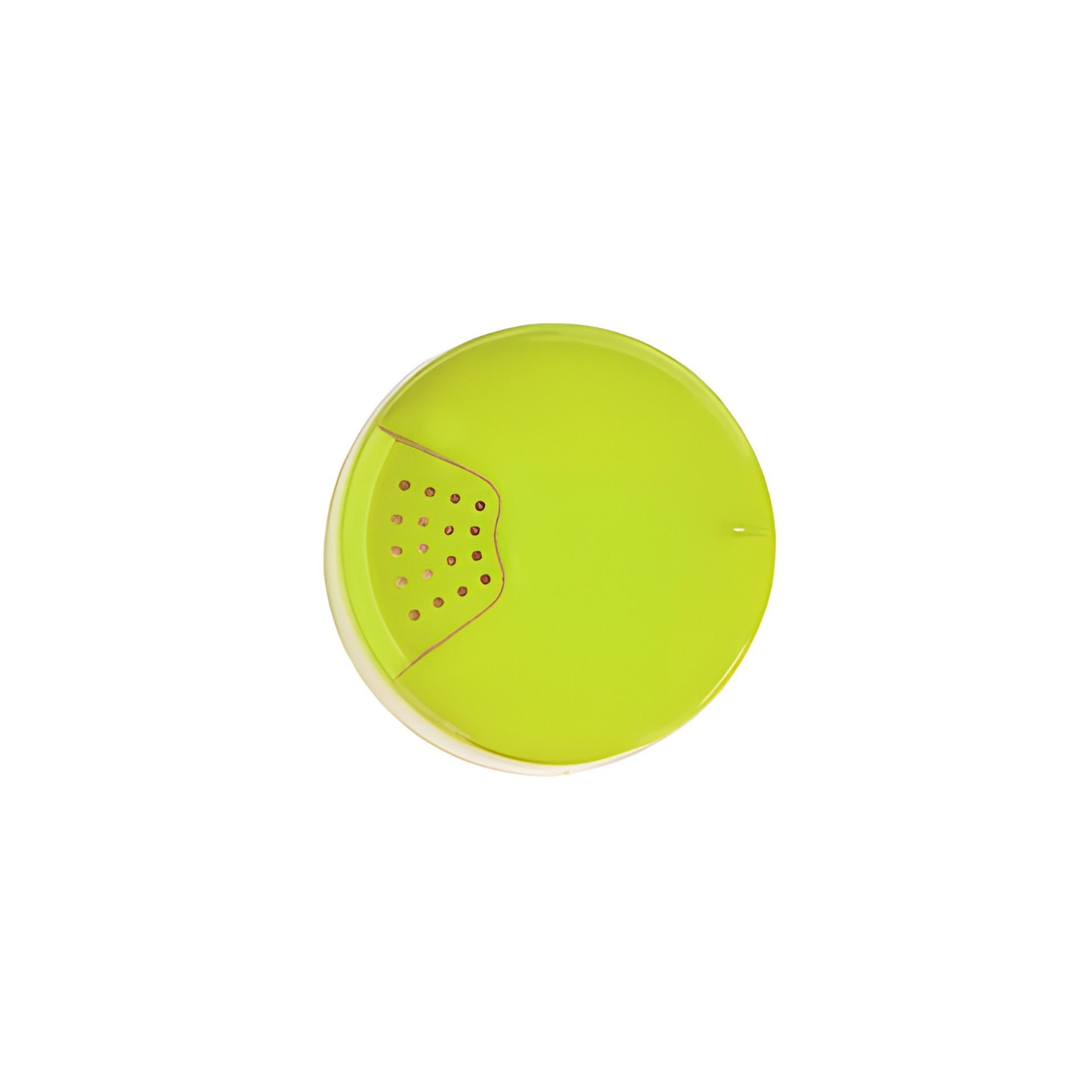 TO 38 Multikappe lime