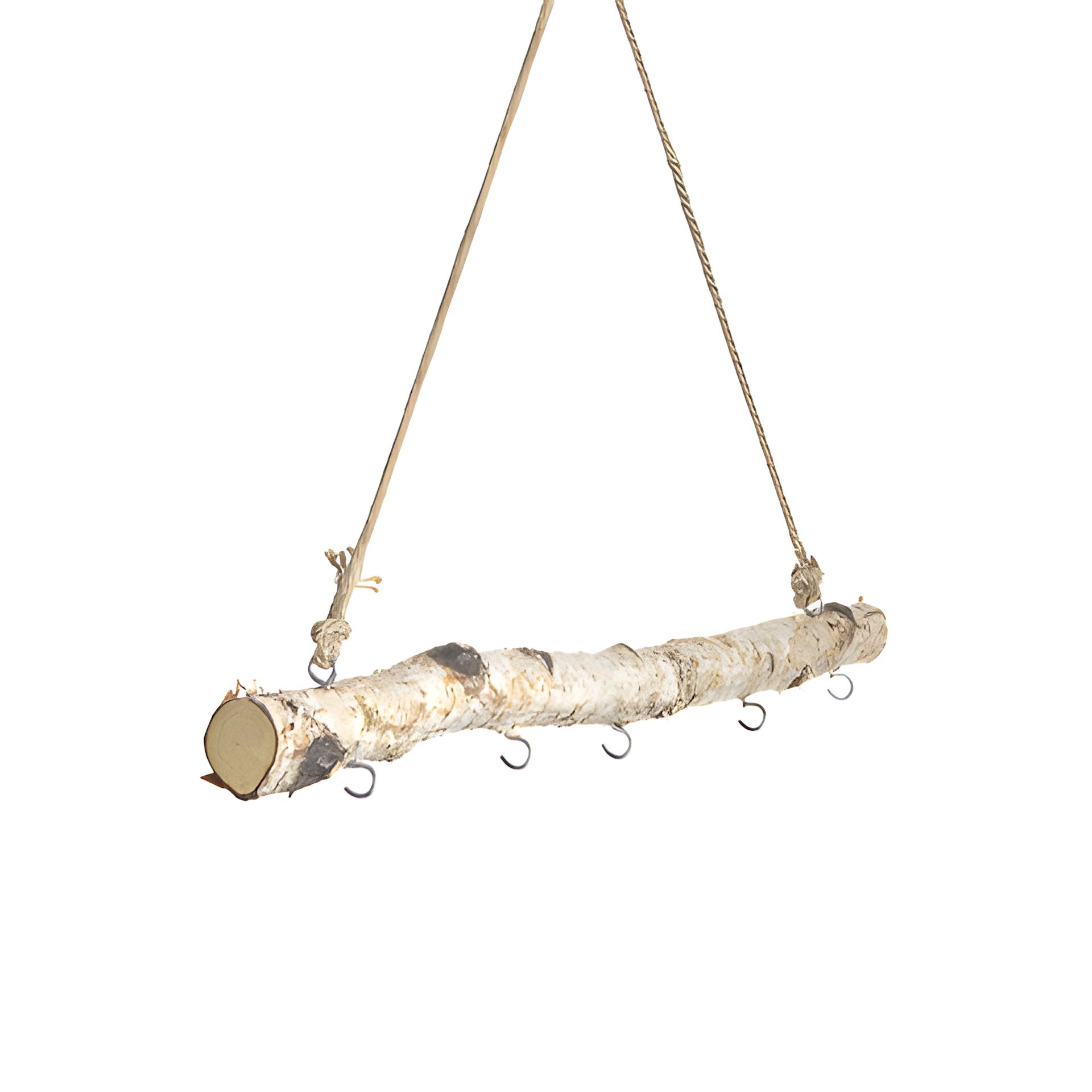 Birkenast 50 cm mit Kordelhenkel und 5 Haken