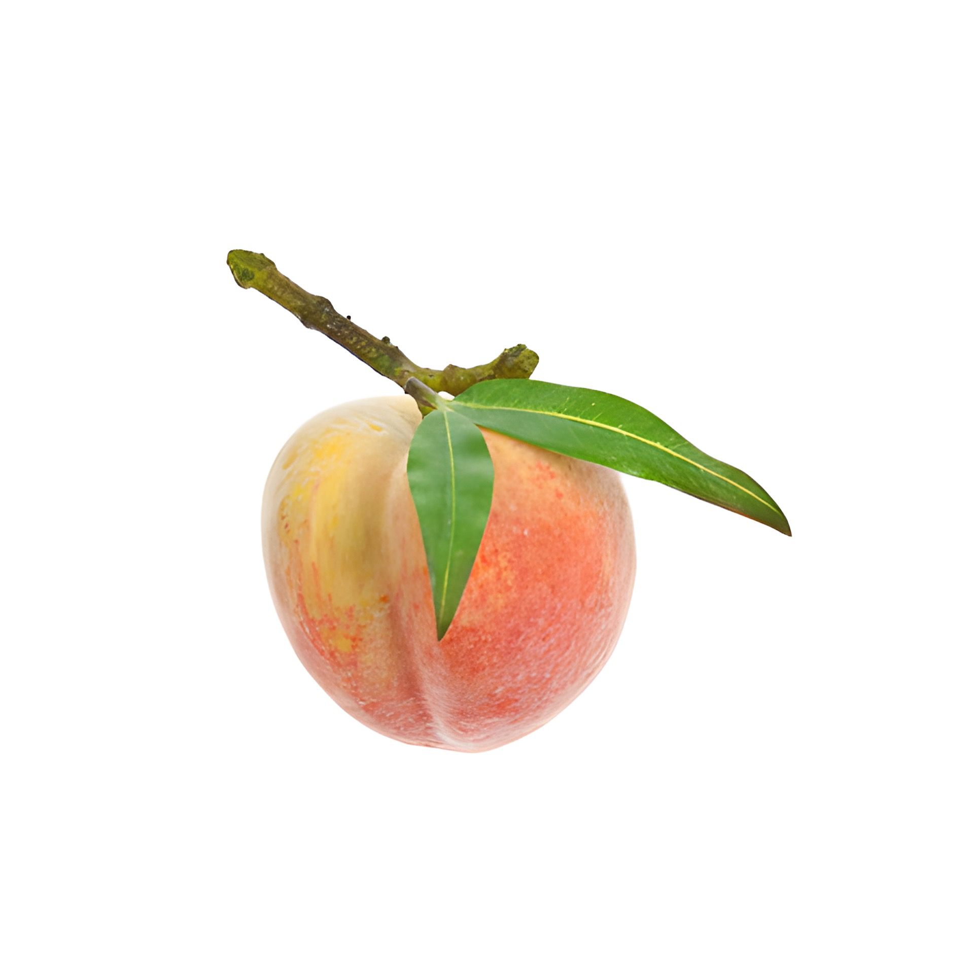 Deko-Frucht 'Pfirsich'