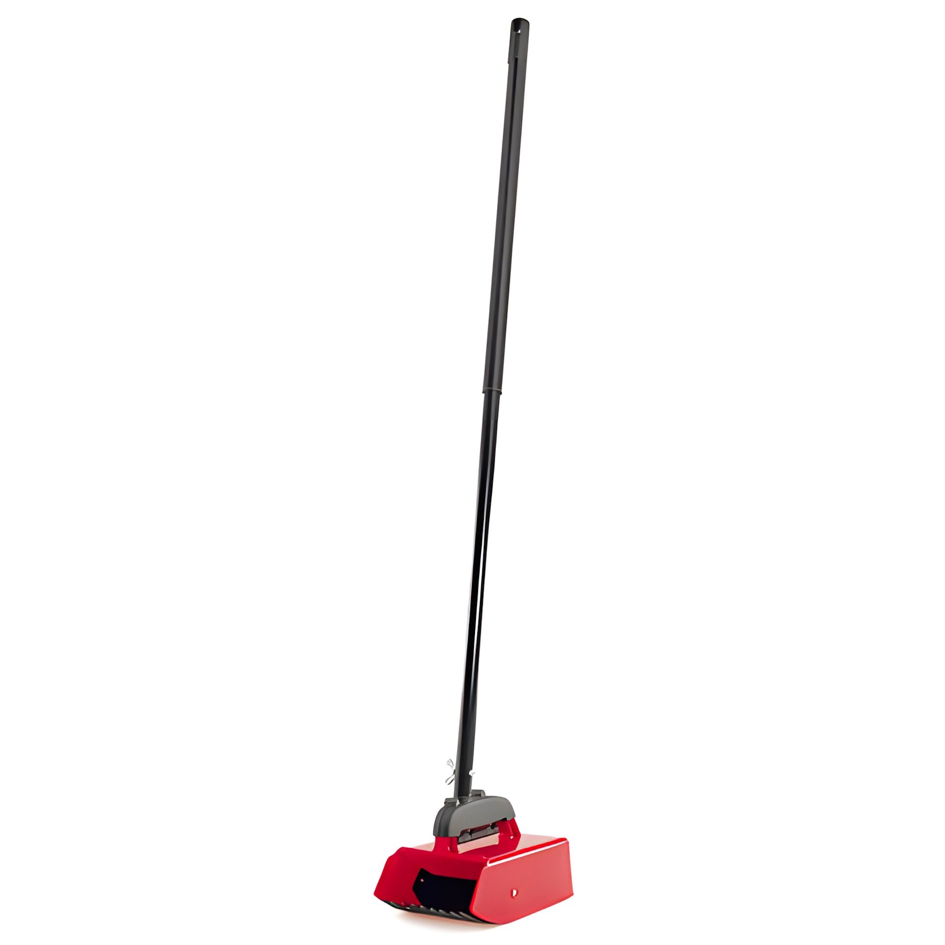 Beerenpflücker mit Teleskopstiel