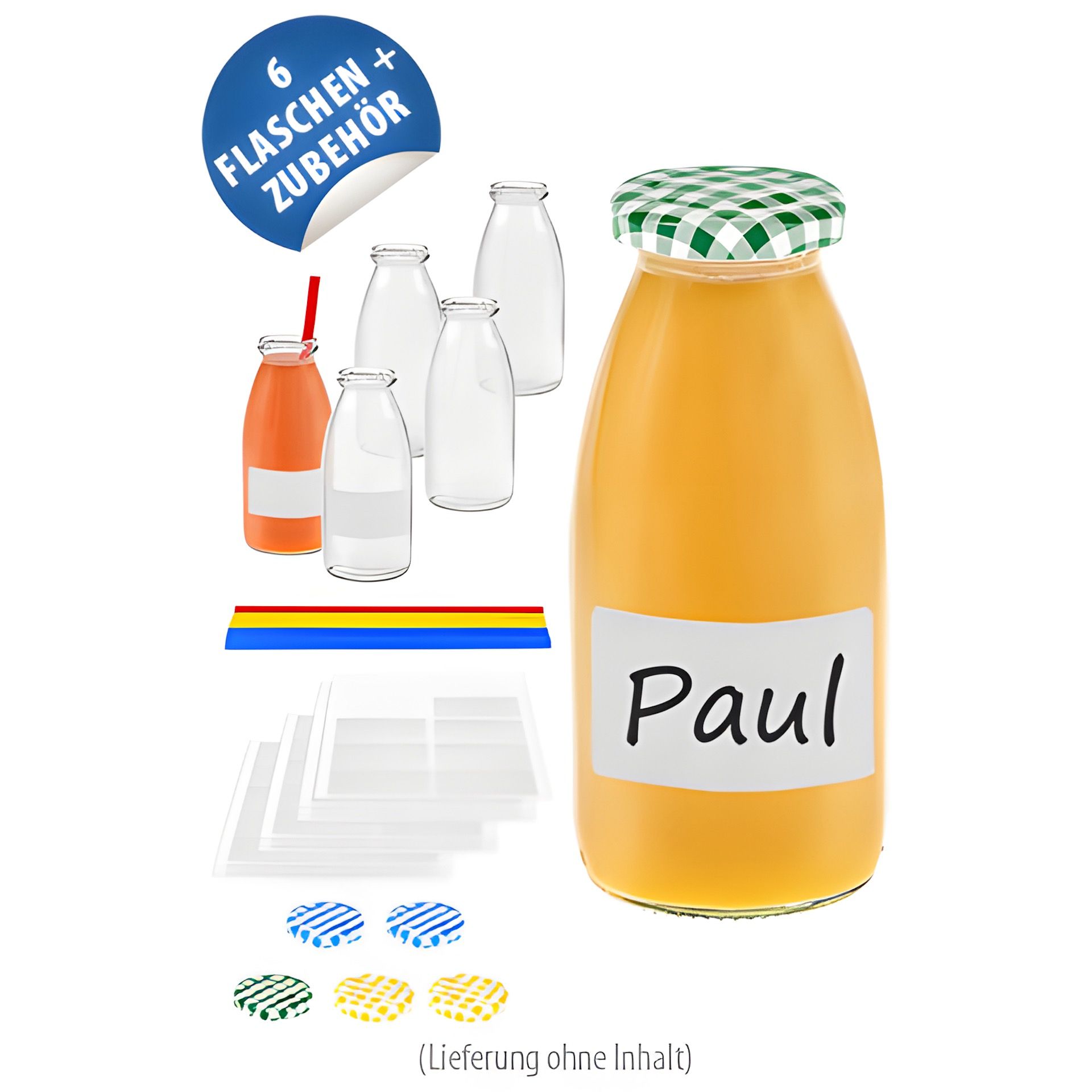 Hansaflasche 250 ml, 6er Set