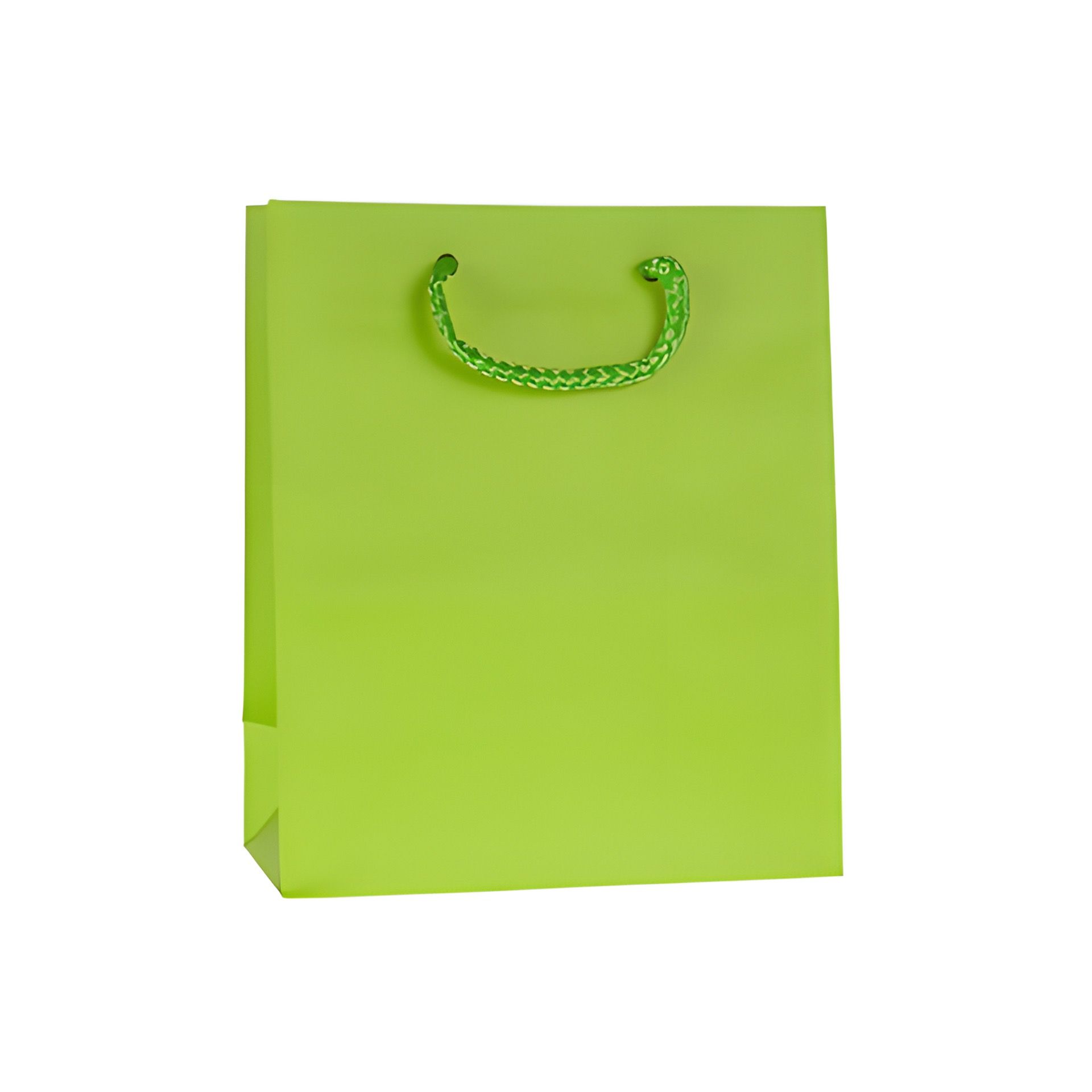 Geschenktüte hellgrün, mittel