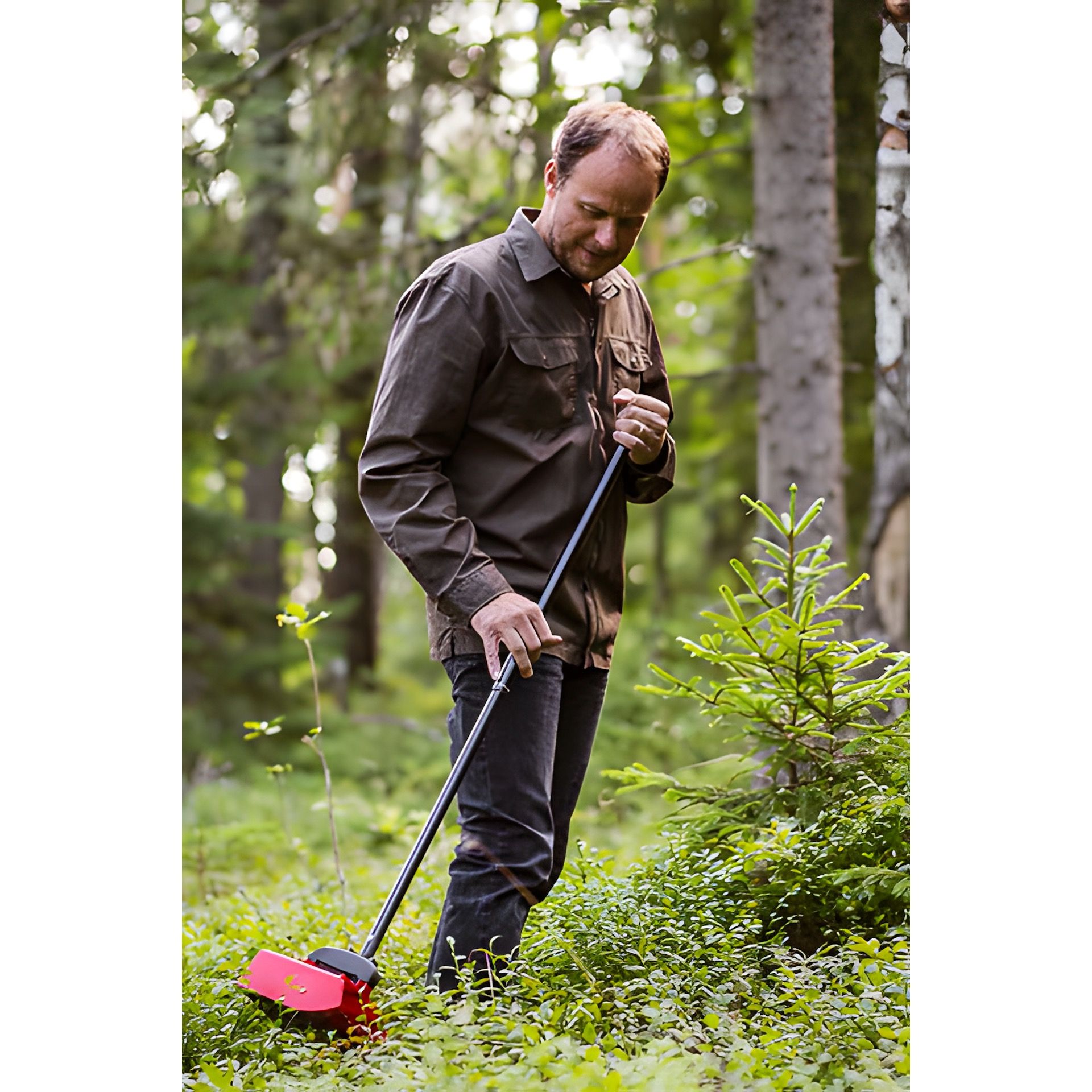 Beerenpflücker mit Teleskopstiel