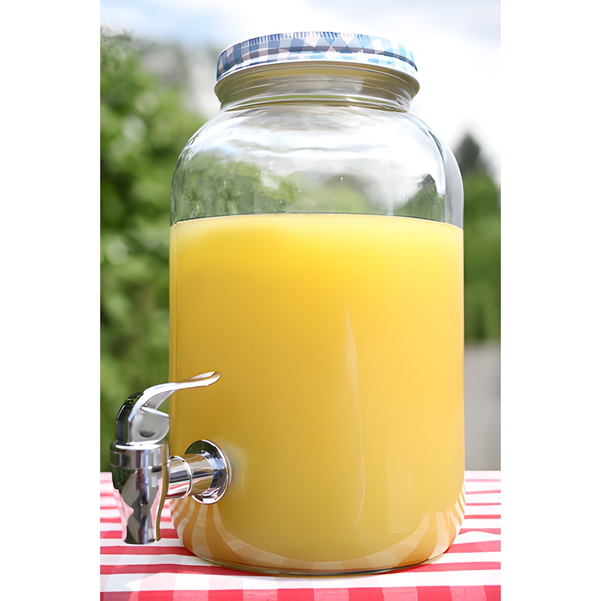 Getränkespender 3000 ml mit Karodeckel