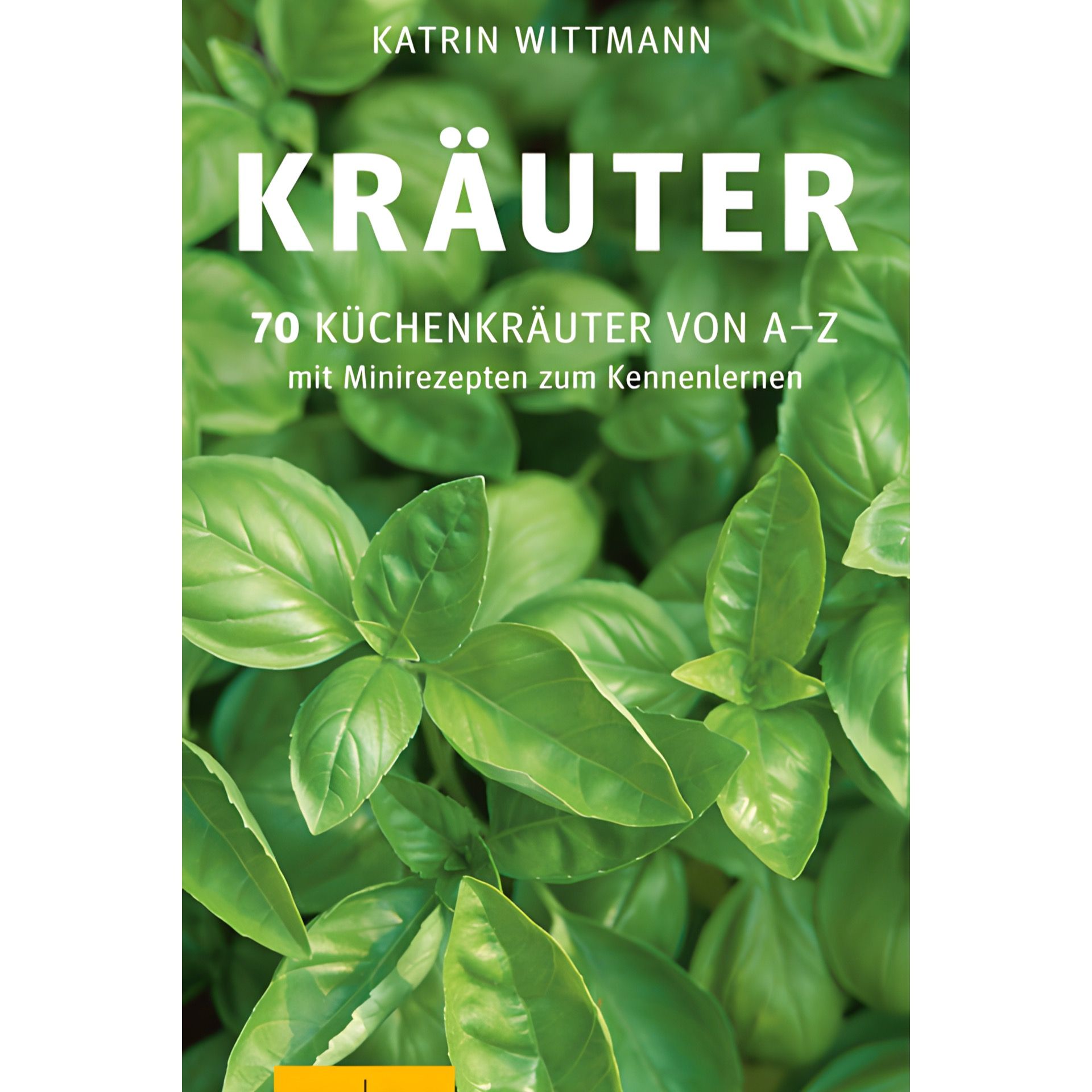 Kräuter 70 Küchenkräuter von A-Z