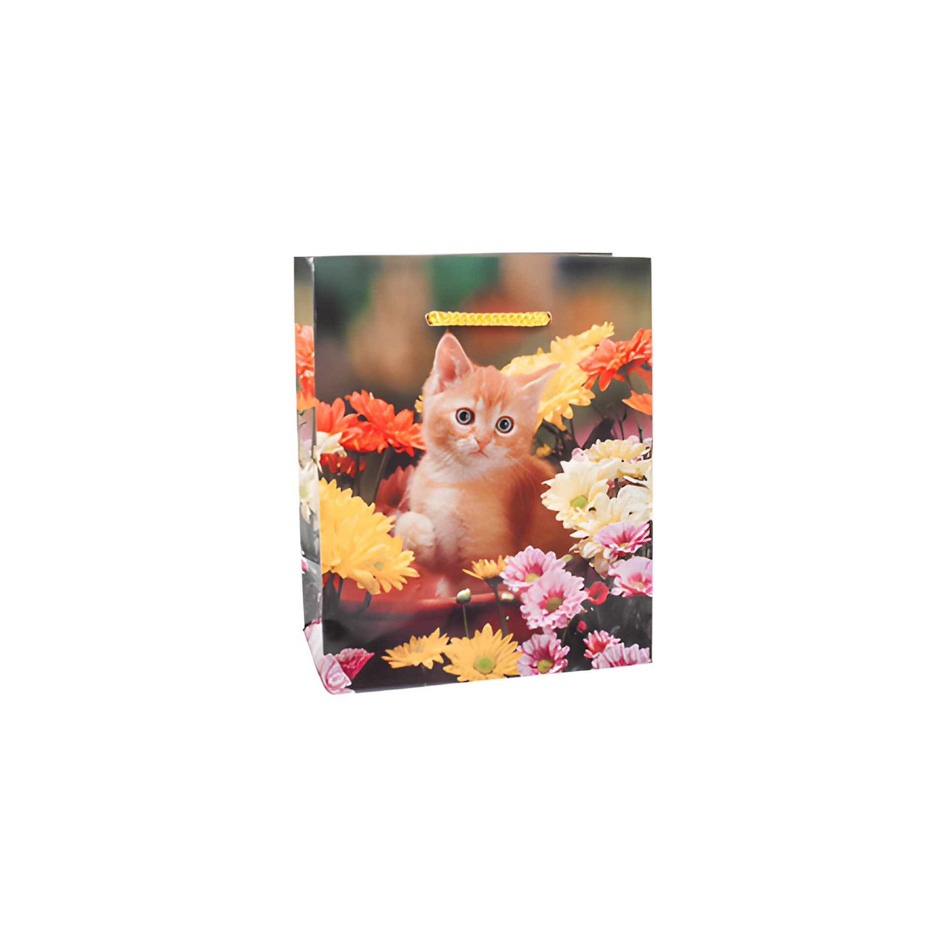 Geschenktüte 'Kätzchen im Blumentopf', klein