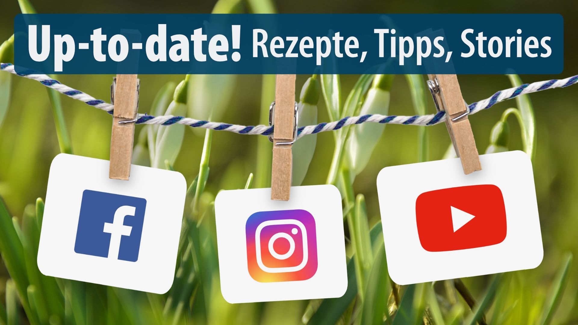 Social-Media-Kanäle