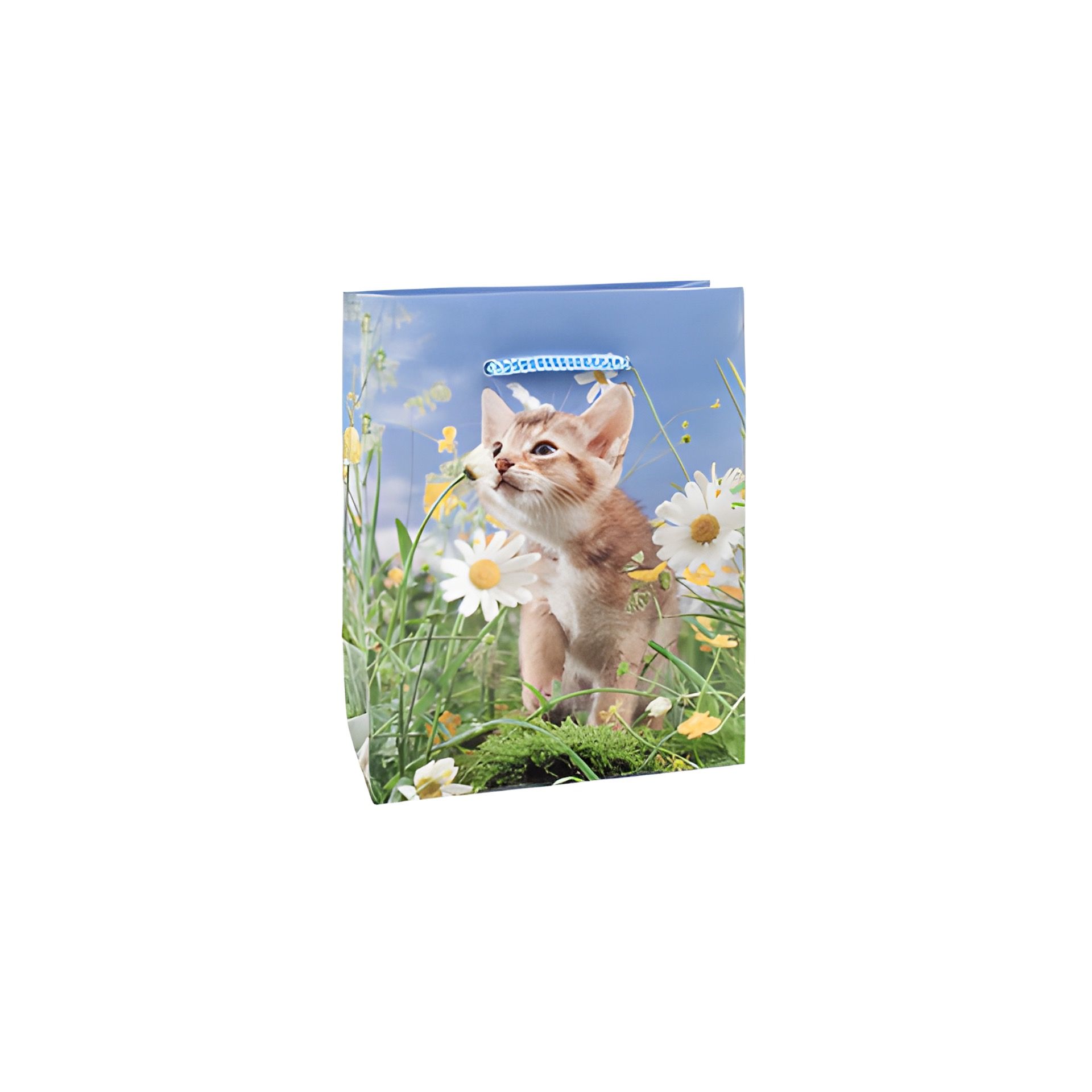 Geschenktüte 'Kätzchen auf der Wiese', klein