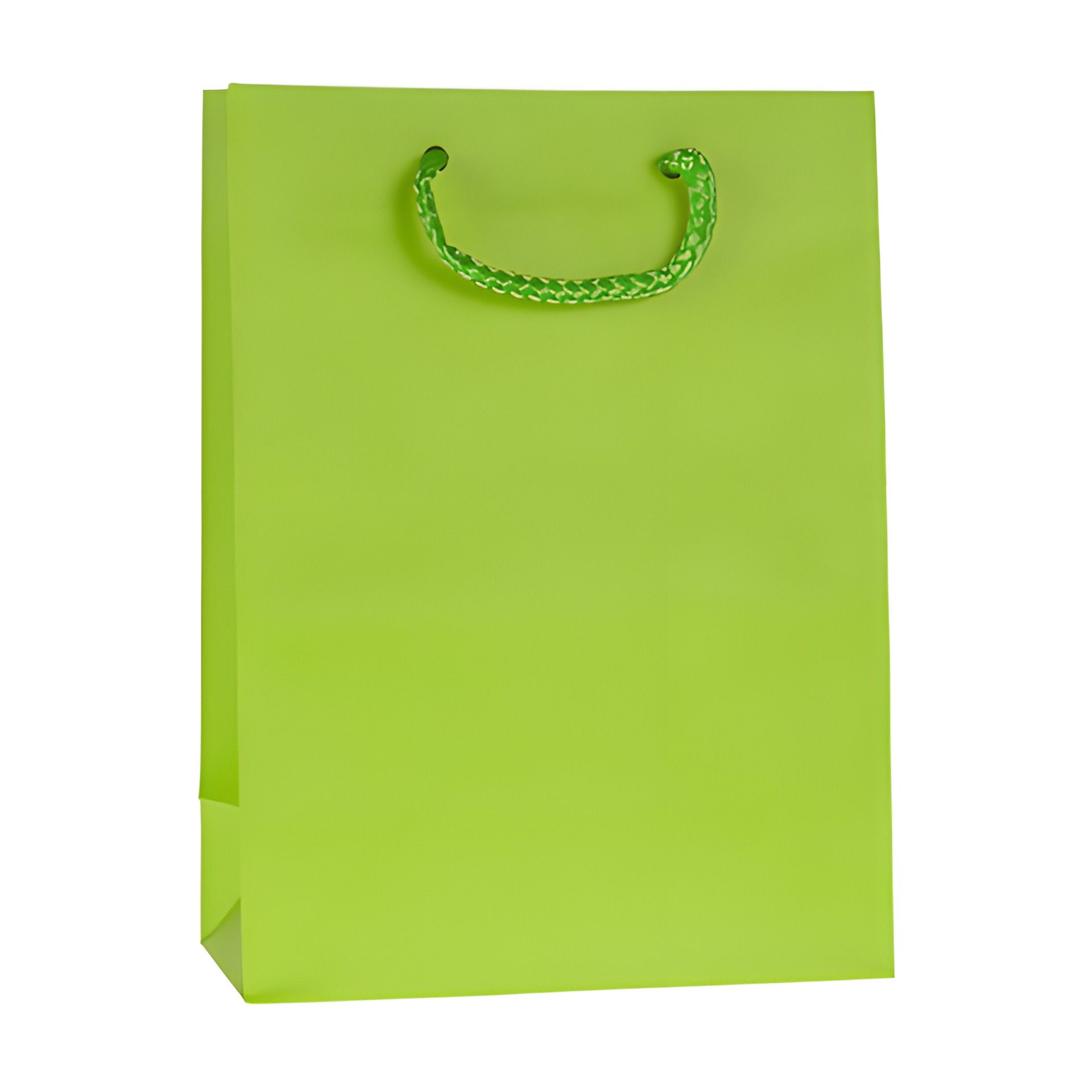 Geschenktüte hellgrün, groß