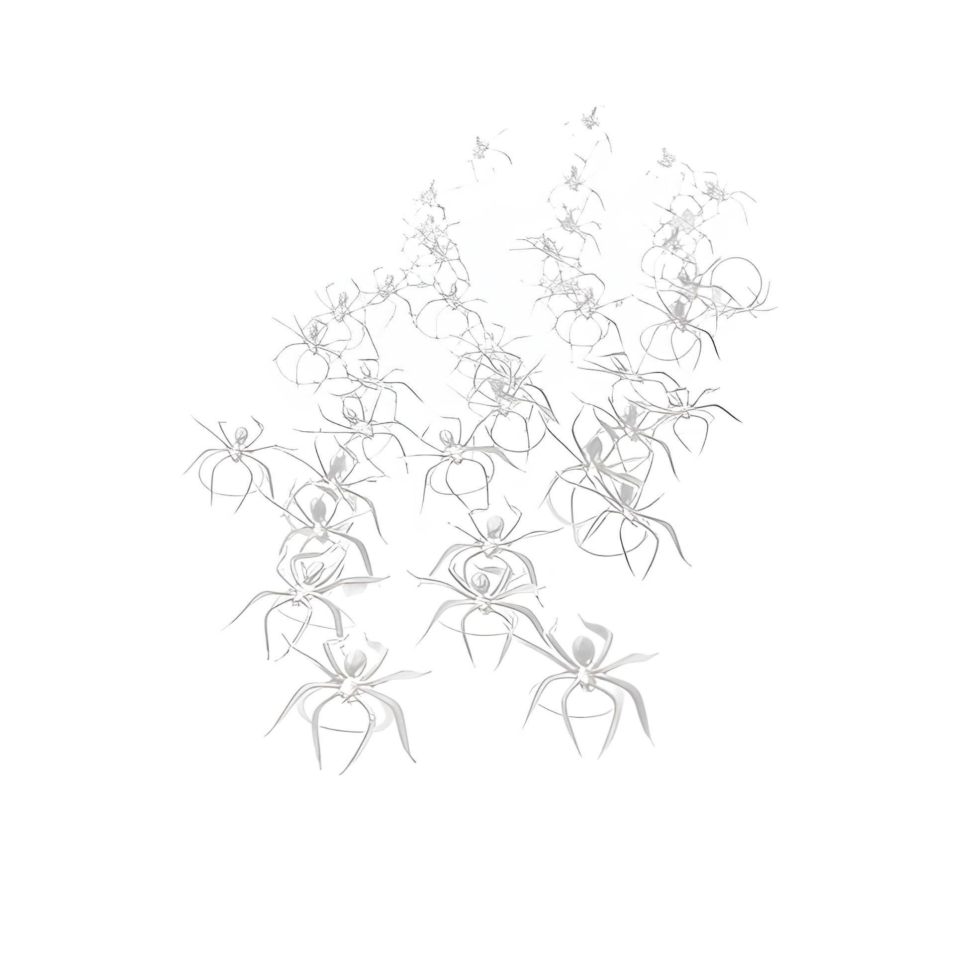 Deko-Spinnen 3,5 cm, transparent, 40 Stück